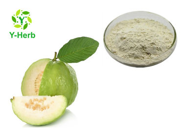 Psidium Guaiava Extract Guava Fruit Powder Water Soluble Superfood Supplement