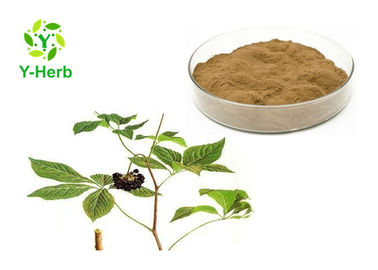 Pure Eleuthero Root 0.8% 1.0% 1.2% Eleutheroside B+E Powder Siberian Ginseng Extract