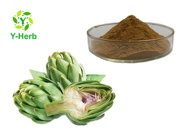 Bulk Organic Artichoke Herbal Extract Powder Cynara Scolymus L. Leaf P.E. 2.5% 5%