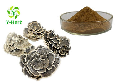 Turkey Tail Mushroom Extract Powder Trametes Coriolus Versicolor Polysaccharides Ingredients