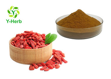 100% Water Soluble Lycium Barbarum Fruit Extract Powder 50% Anti - Fatigue
